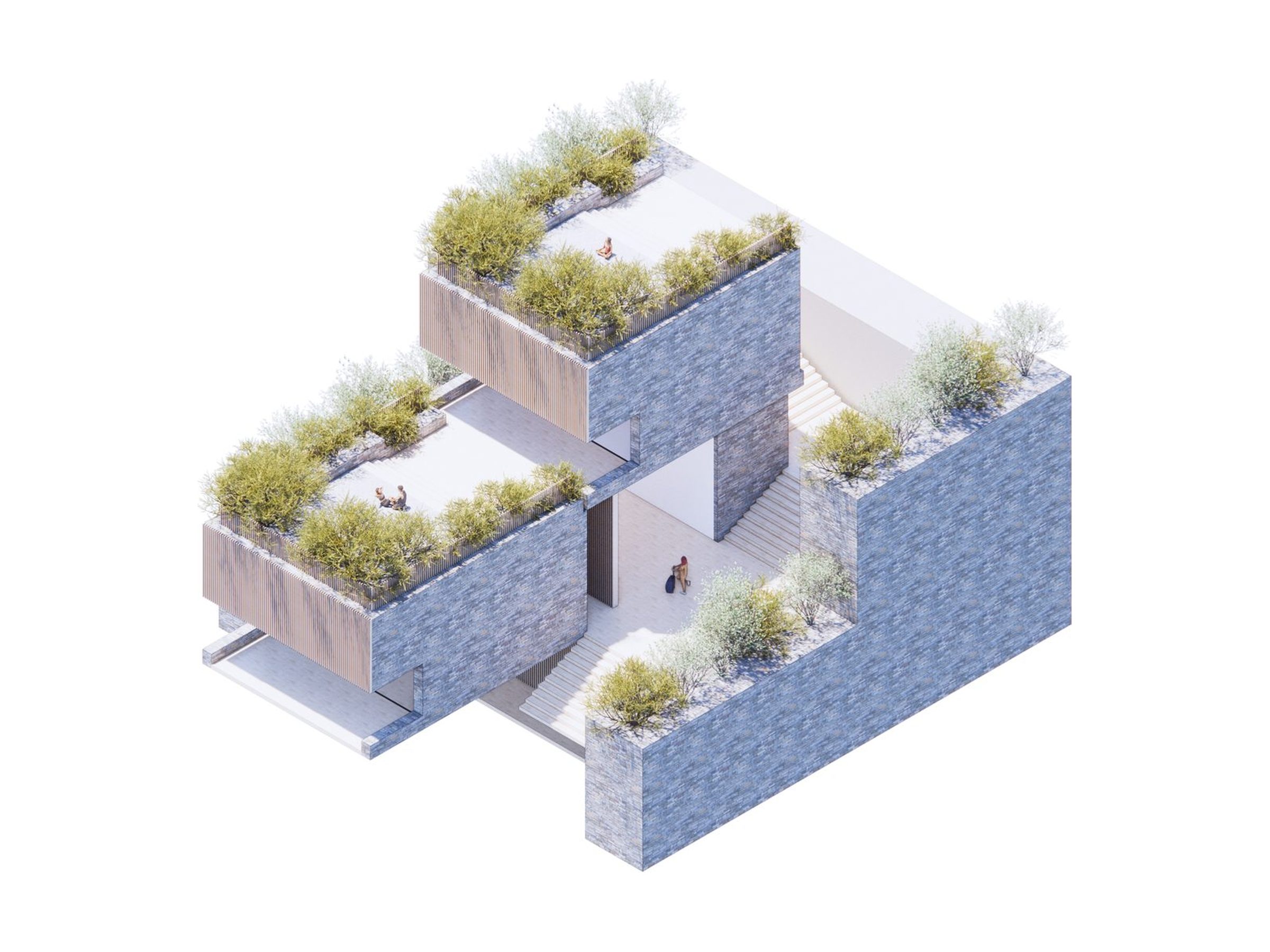 Typology one, model