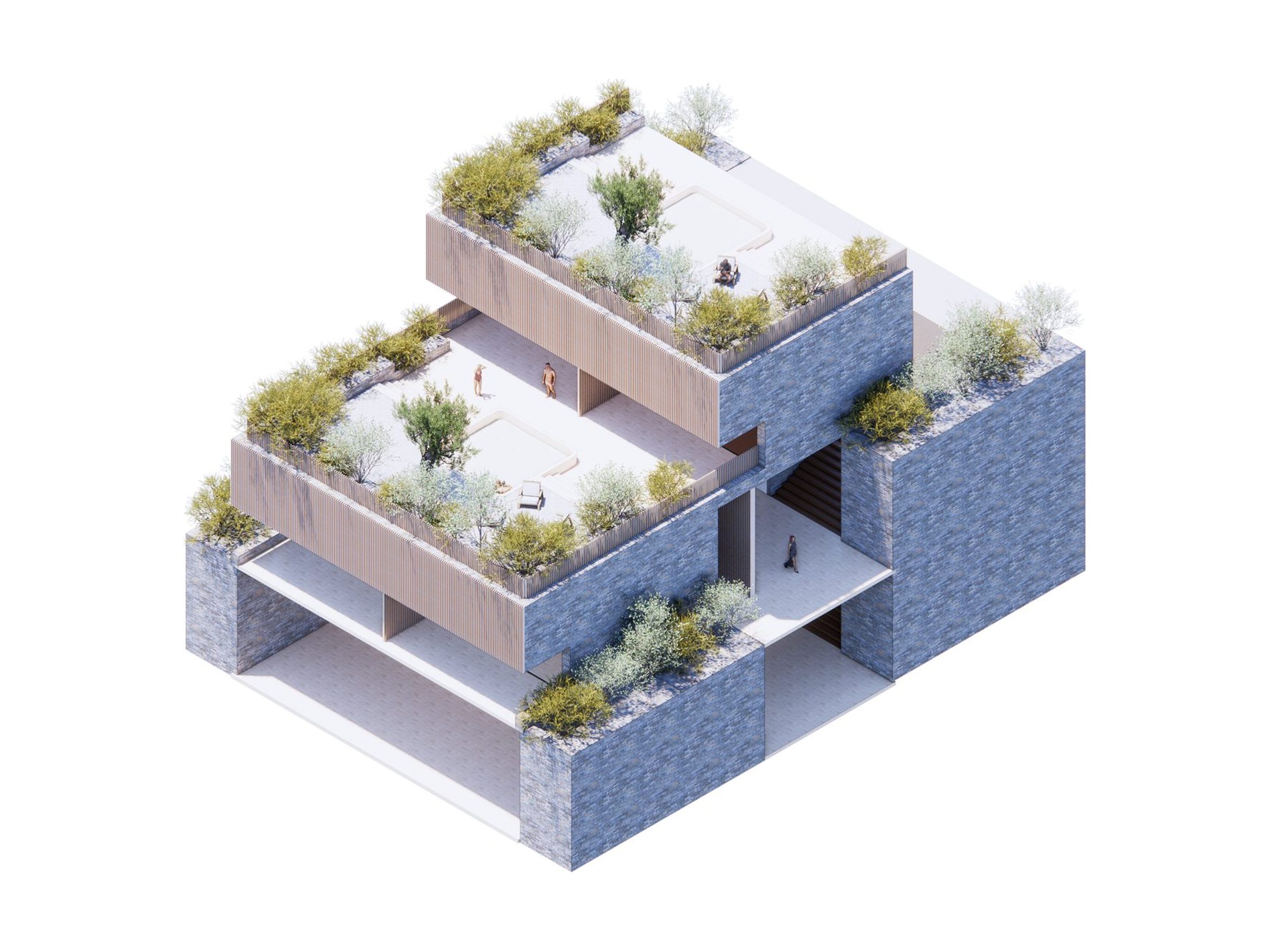 Typology two, model